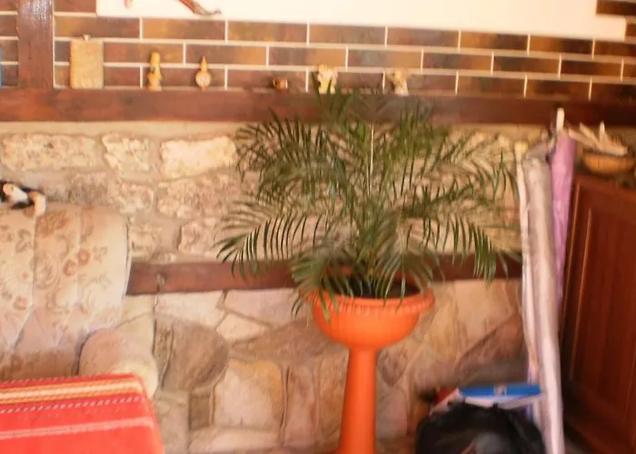 Albena بيت ضيافة شابلا