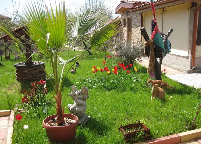 Albena بيت ضيافة *